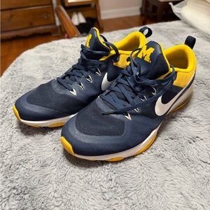University of Michigan Nike Zooms